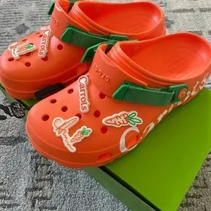 CROCS | Shoes | Crocs X Carrots Classic All Terrain Unisex  display picture 3